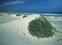 Playas