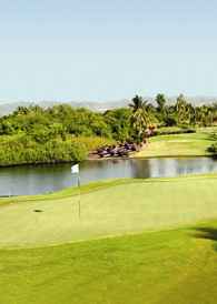 Golf Flamingos golf