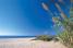 Spiagge