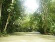 Montego Bay - Servizio
