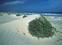 Stranden
