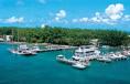 Paradise Island - Servico