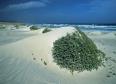 Boa Vista - Praia