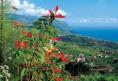 Madeira - Servico