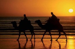 Actividades Actividades