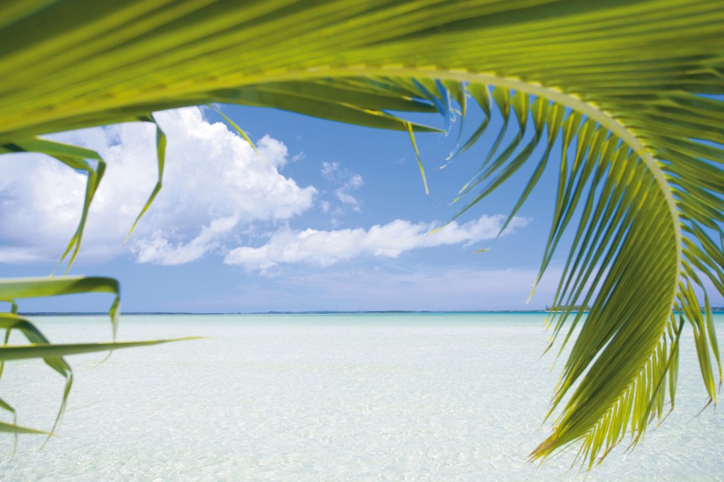 Vacations at the Bahamas Islands