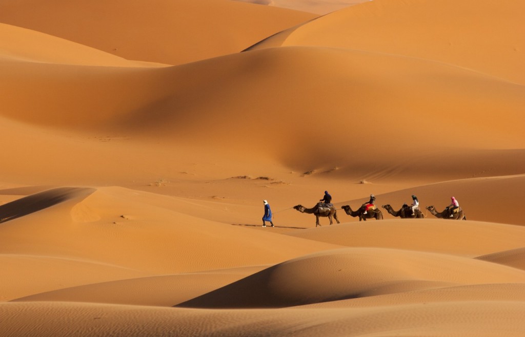 Excursión con camellos en las dunas