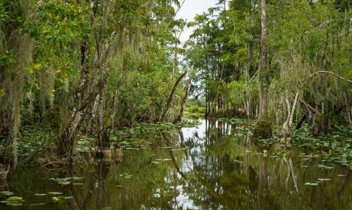 Five unique natural landscapes in the world