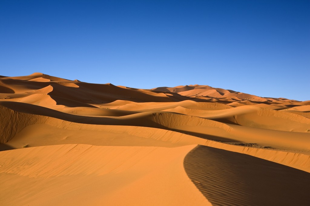 The dunes of Erg Chebbi in the Sahara