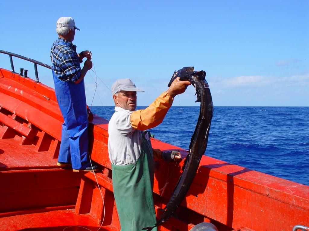 Pesca tradicional del pez sable