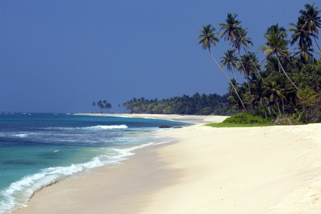 Paradisiacal palm-lined beaches