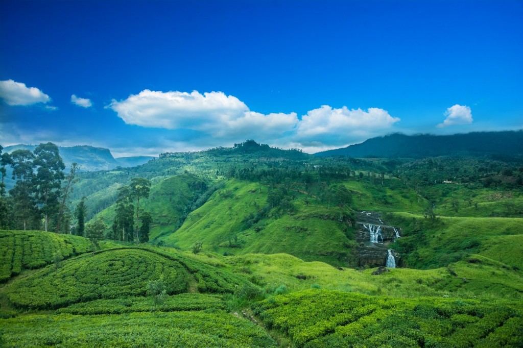 Descubre la magia de Sri Lanka