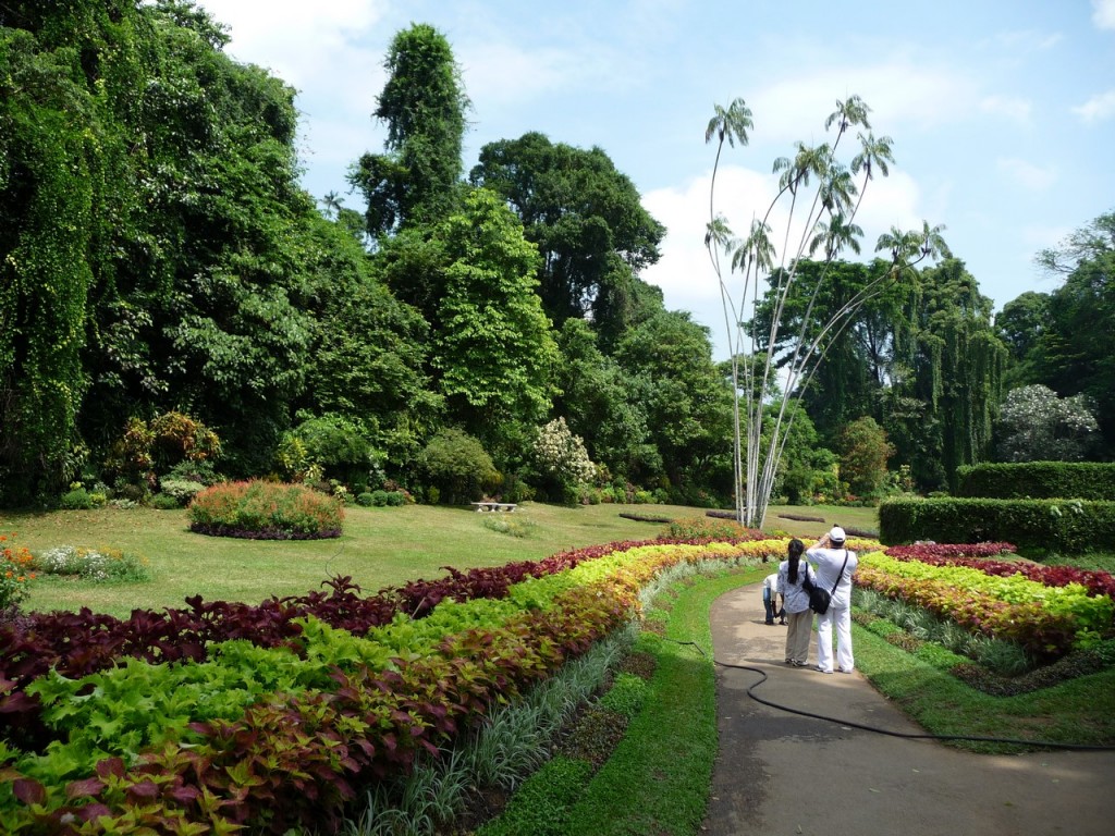 foto-22-botanischer-garten-copiar