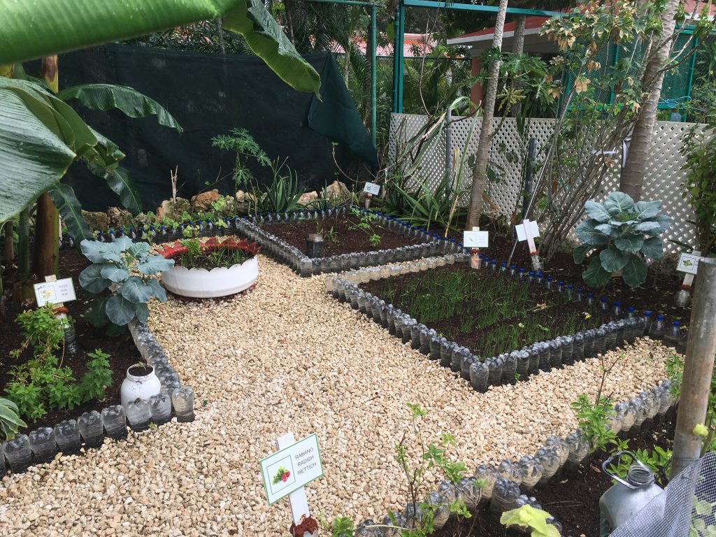 Vegetable garden at Riu Palace Mexico