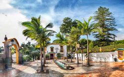Jardin botanico Torremolinos