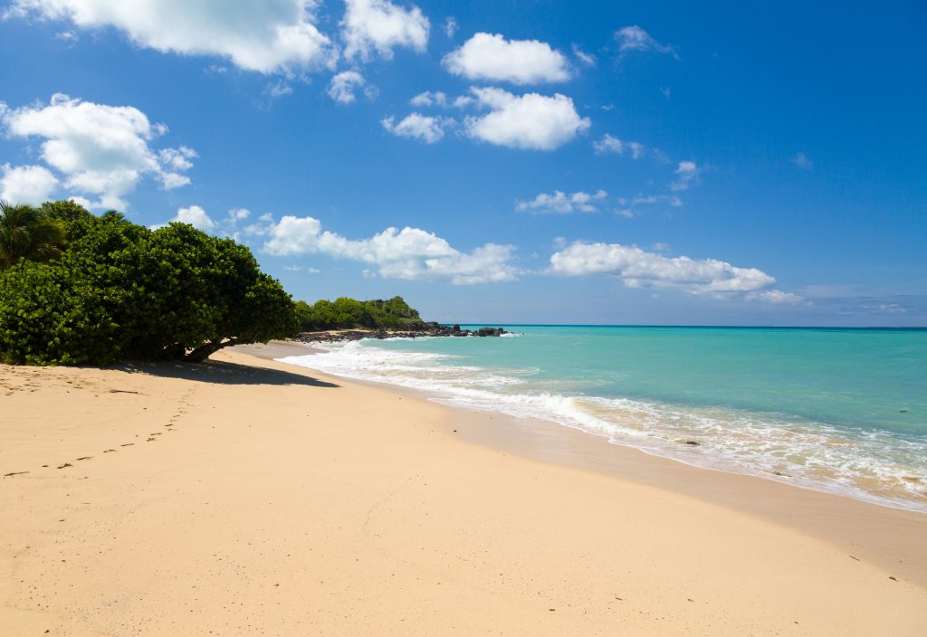 Happy Bay Beach Saint Martin