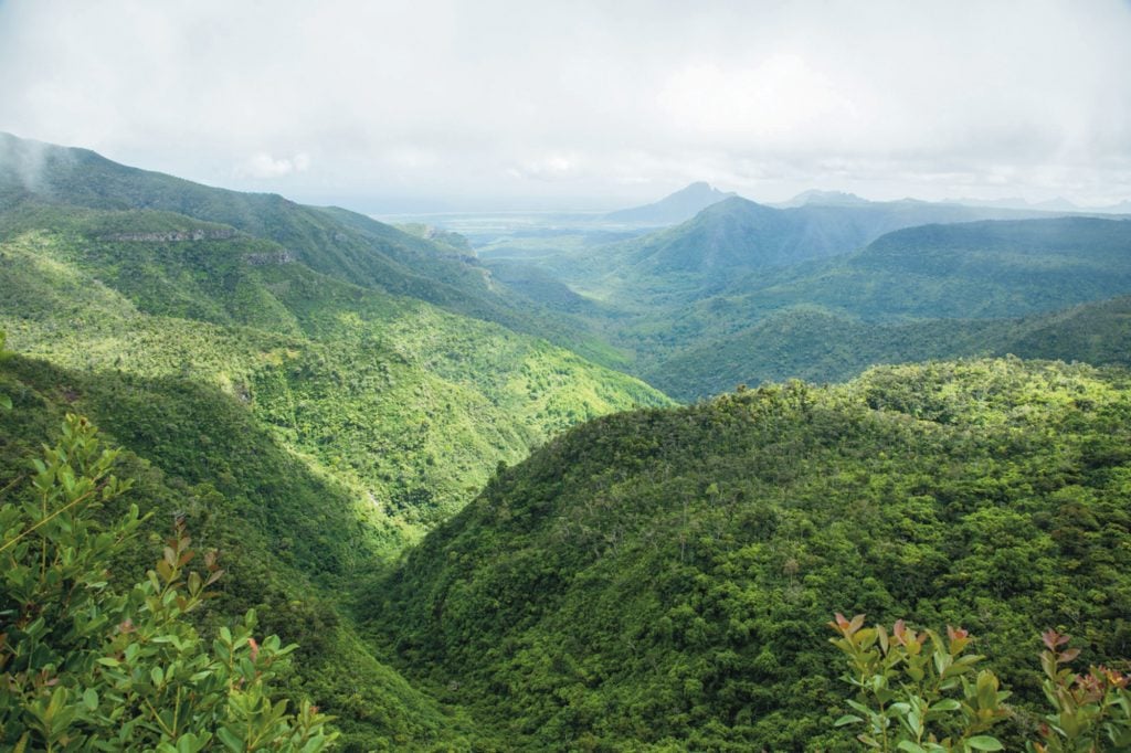 Paisaje verde Mauricio