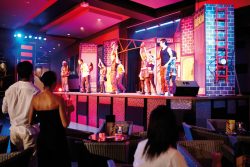 Show nocturno RIU