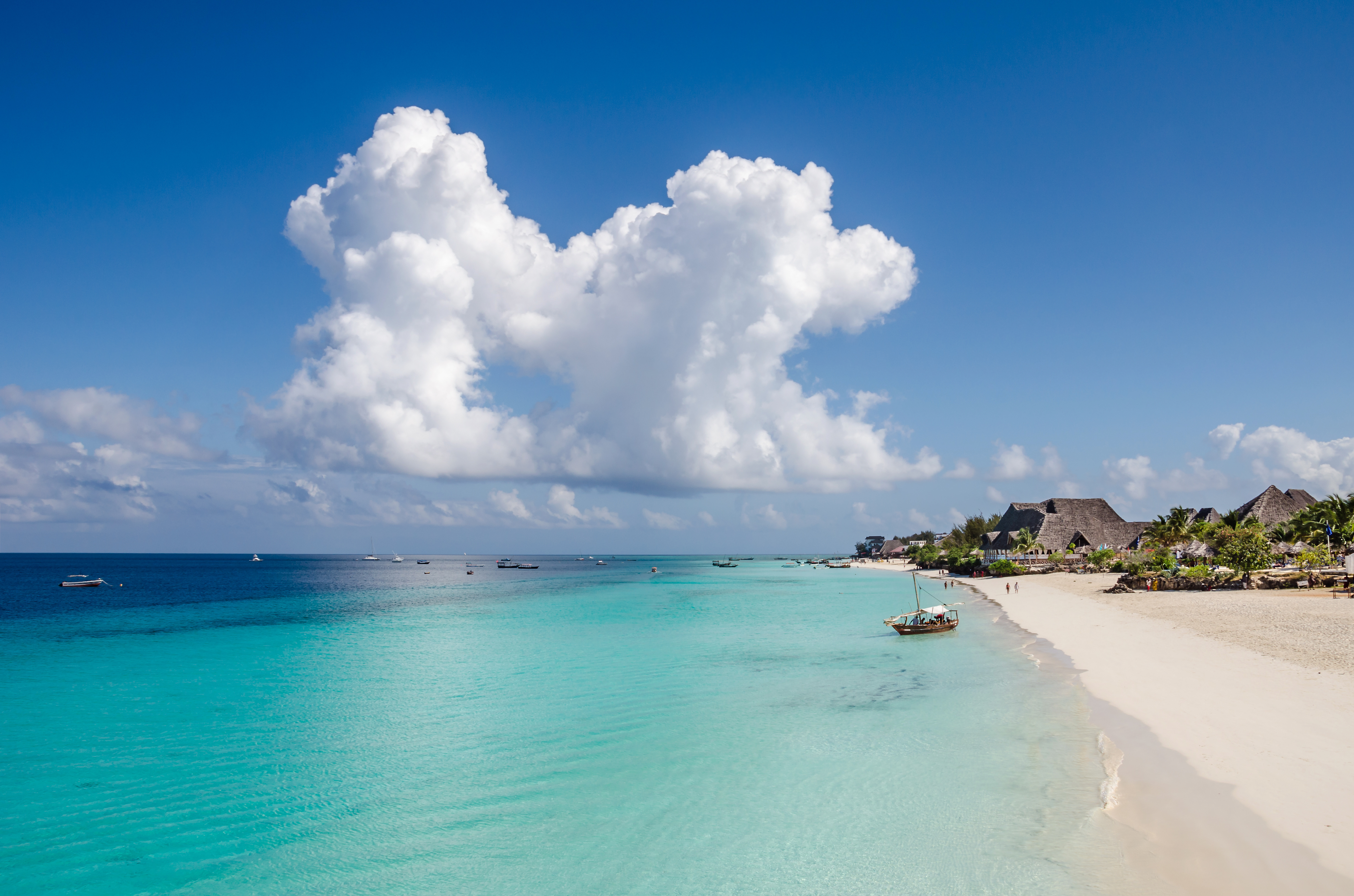 All embracing Disitinctive And Spectacular Welcome To Zanzibar Our 