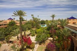 Exterior del hotel Riu Tikida Garden