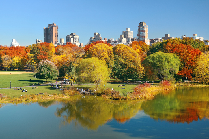 Discover the authentic New York on long walks through Central Park