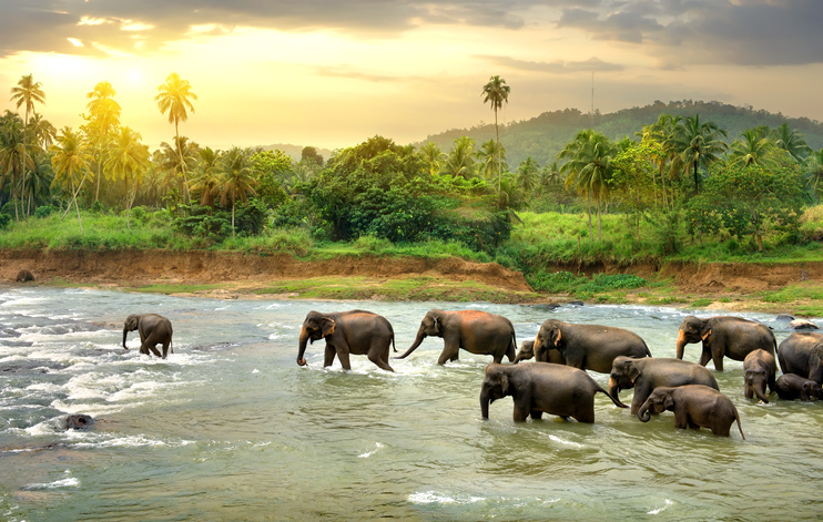 Los paisajes de Sri Lanka no dejarán de sorprenderte