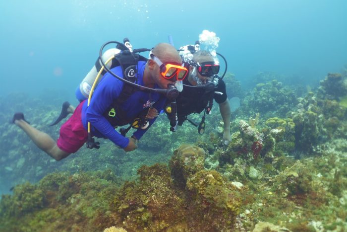 Práctica buceo con RIU y descubre el precioso fondo del mar de Jamaica