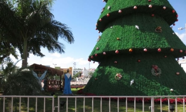 Visita el árbol de navidad de Andador de Solidaridad