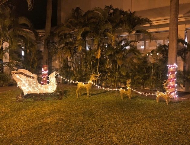 Todos los hoteles RIU han sido decorados con las mejores galas navideñas