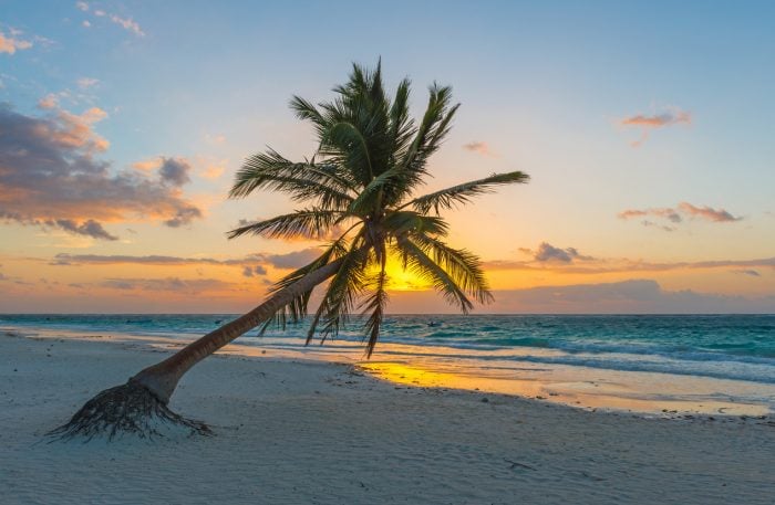 Disfruta del amanecer en Playa del Carmen con RIU