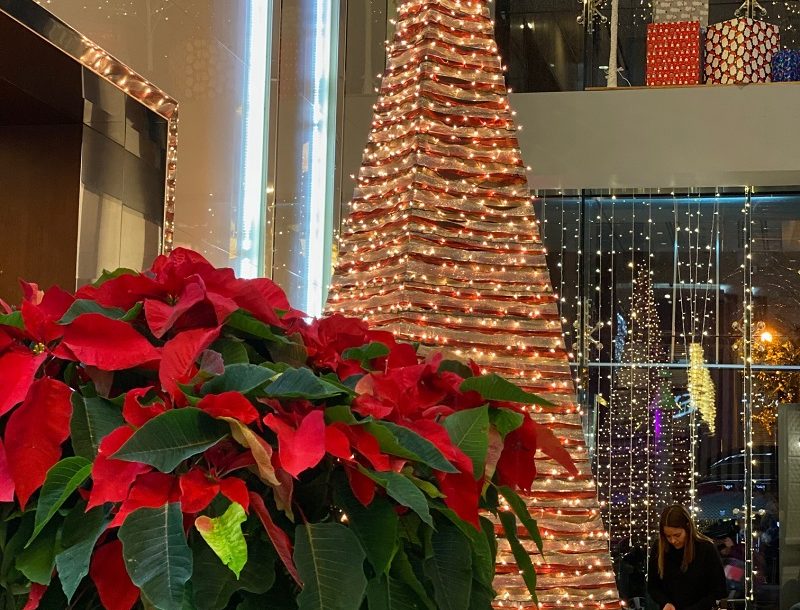 Todos los hoteles RIU han sido decorados con las mejores galas navideñas