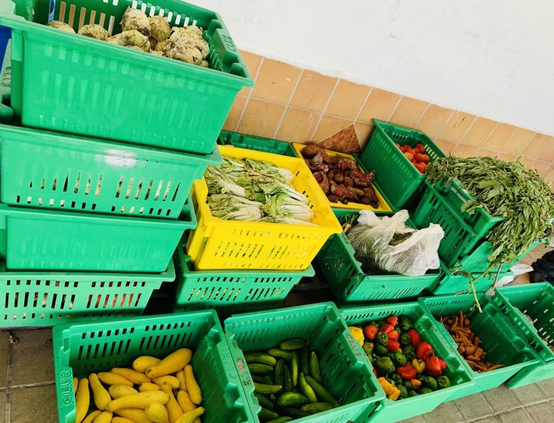 Frutas y verduras cedidas por los empleados del Hotel Riu Negril en Jamaica a organizaciones solidarias 
