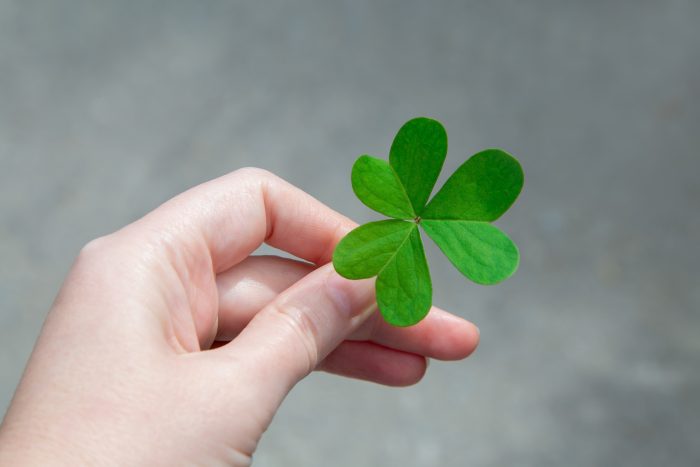 During this holiday it is typical to see the classic Irish symbol: the shamrock or three-leaved clover.