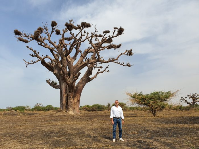 Luis Riu, CEO de RIU Hotels & Resorts, junto a un baobab, árbol nacional de Senegal