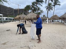 Riu Palace Aruba