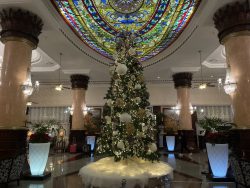 Riu Palace las Americas.
