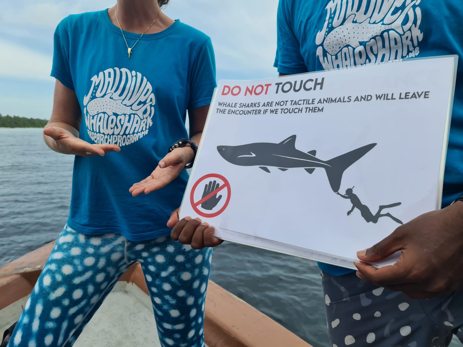 Voluntario de MWSRP explicando cosas sobre el tiburón ballena en Maldivas.