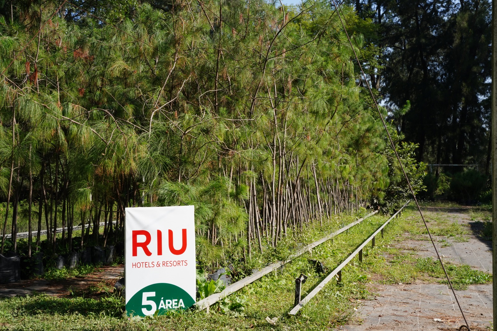 Bosque Urbano Extra.