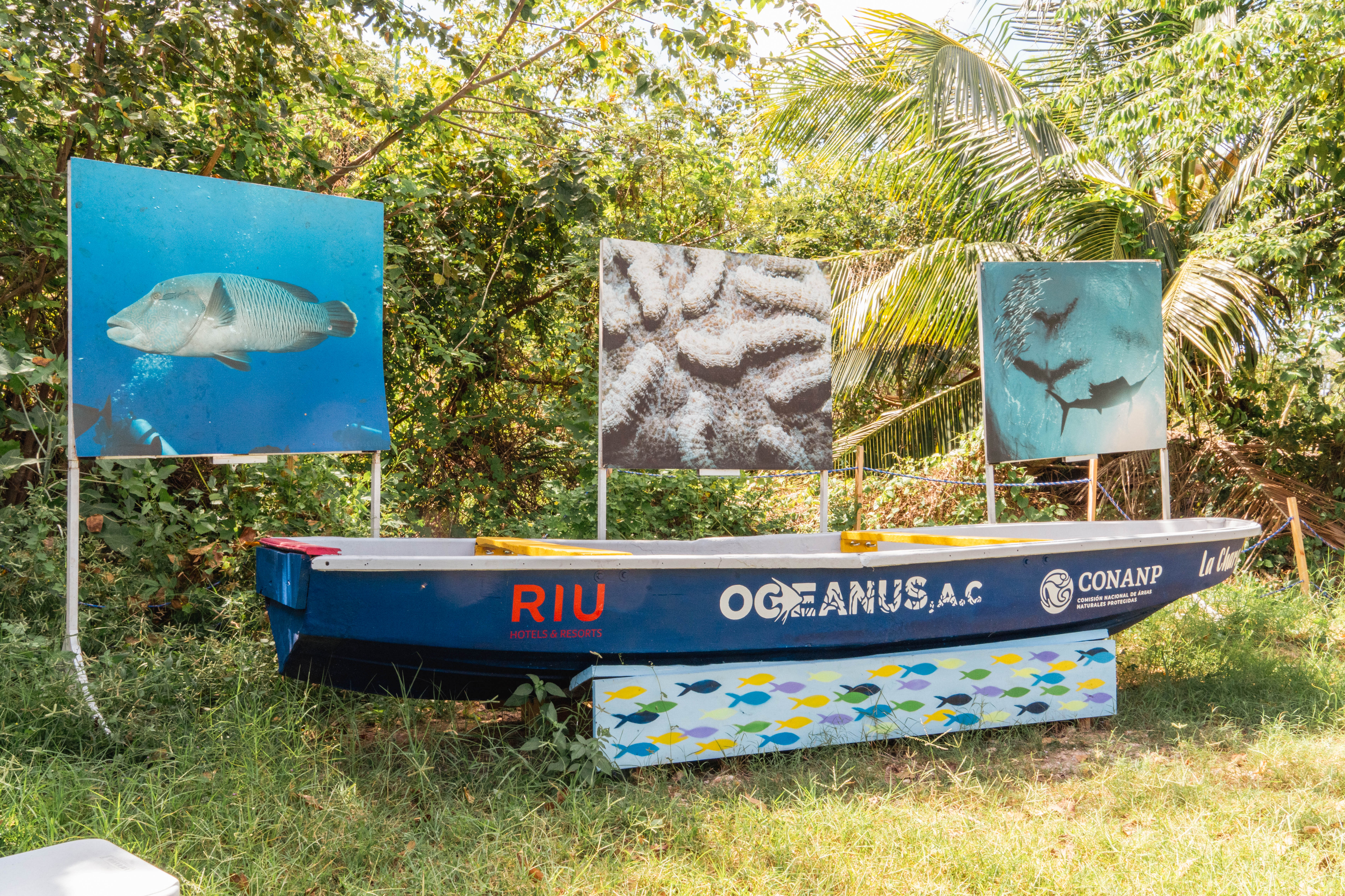 Fundación Oceanus