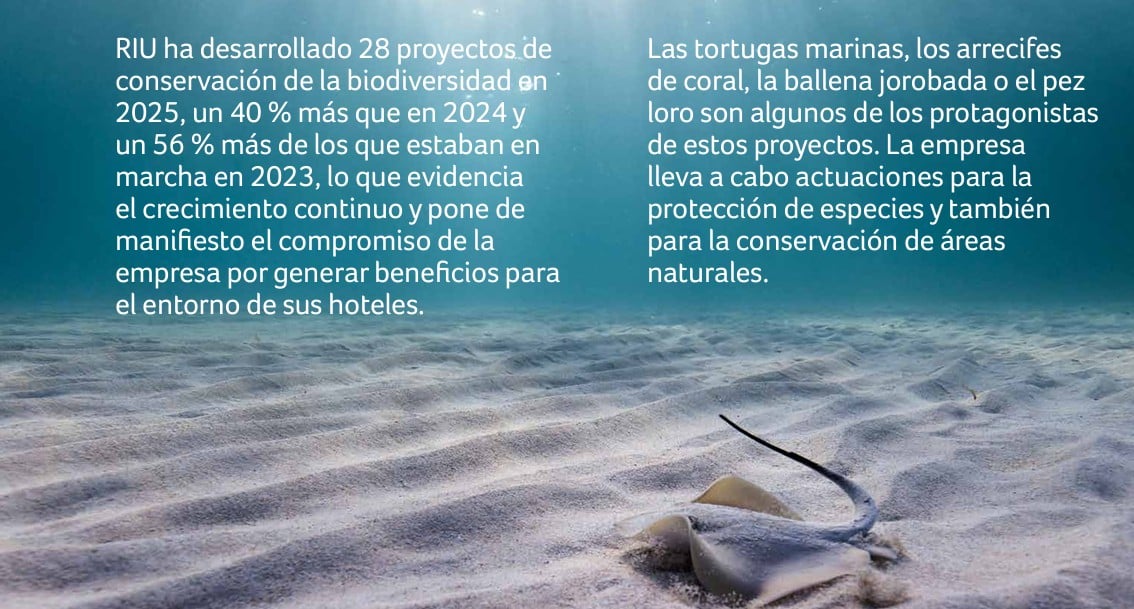 RIU ha desarrollado 28 proyectos de conservación de la biodiversidad en 2025 