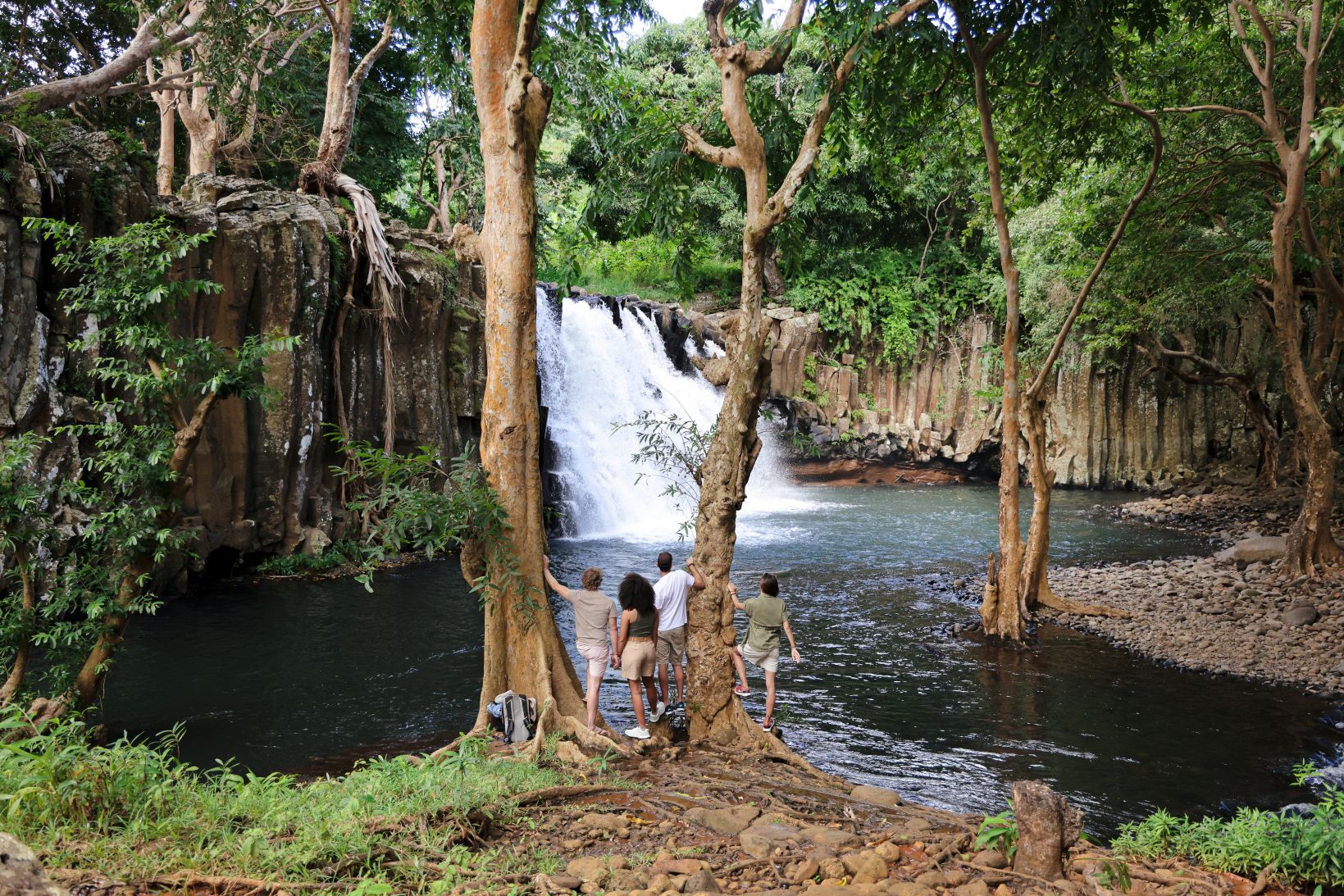 Un grupo de personas de espaldas observan plácidamente una cascada en un bosque