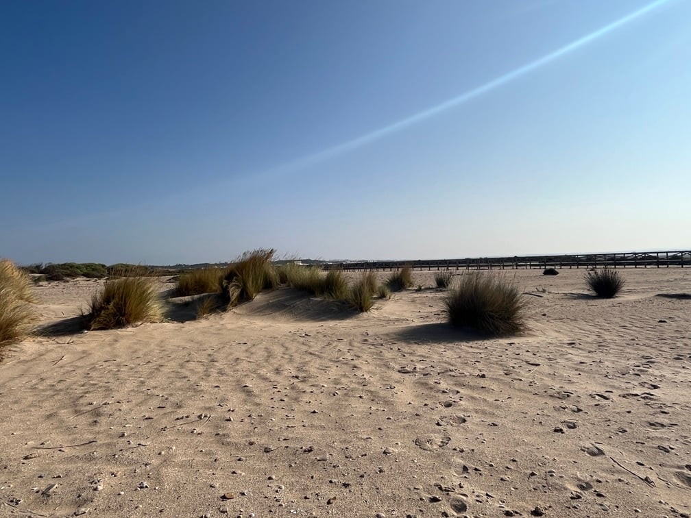 RIU refuerza su compromiso con la biodiversidad iniciando dos nuevas colaboraciones en Andalucía 