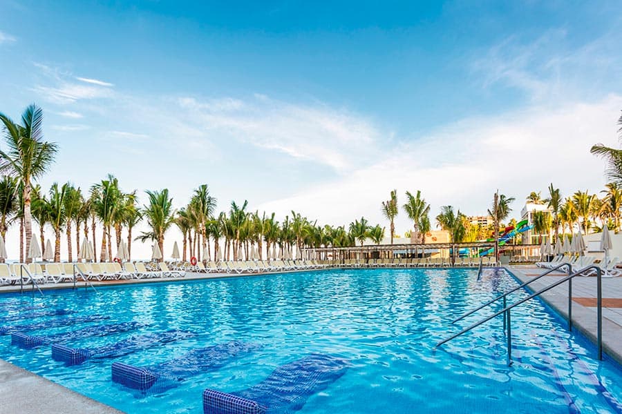Olympic-sized swimming pool with lane dividers, palm trees lining the deck, and clear blue water.