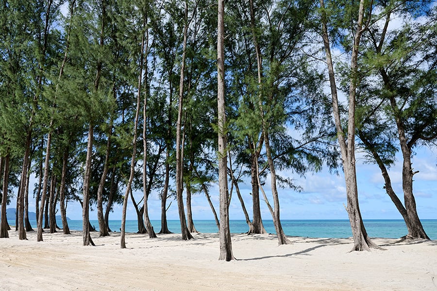 Beach-riu-palace-phuket.jpg