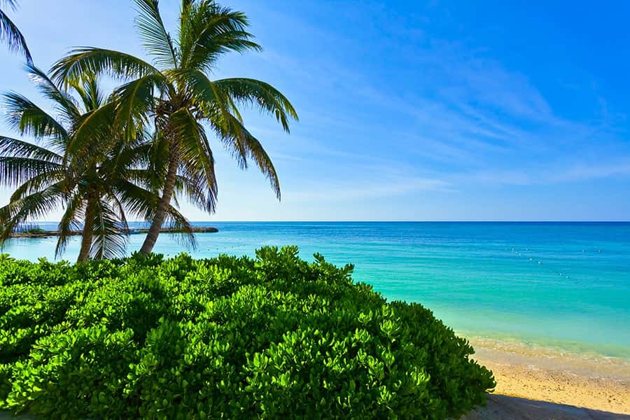 all inclusive vacations montego