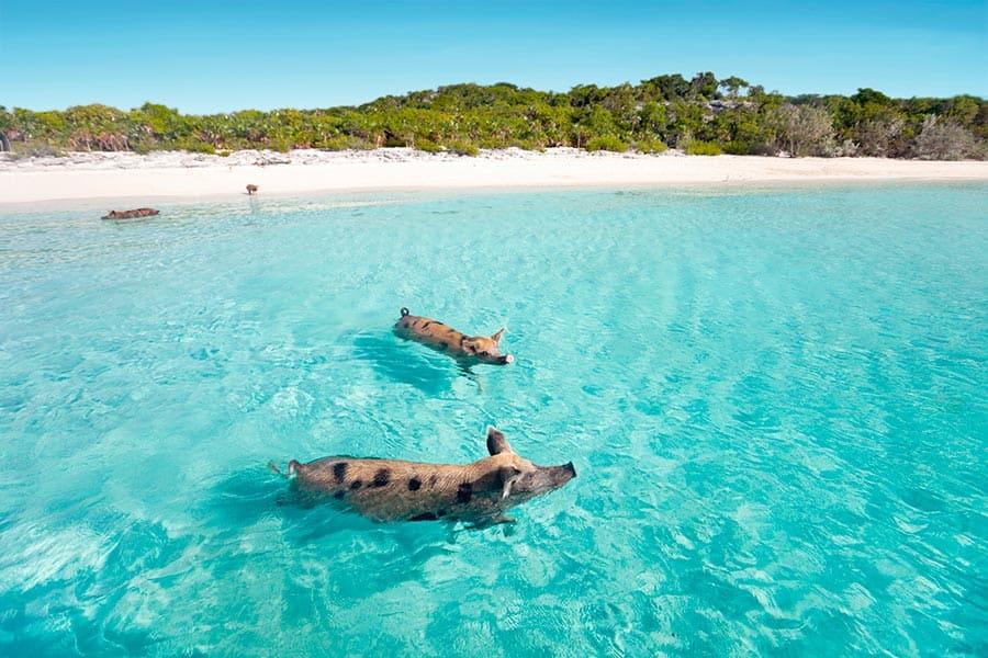 Bahamas Travel