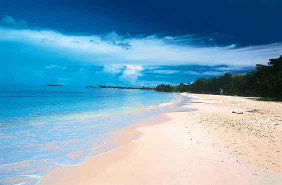 hotels in jamaica ny