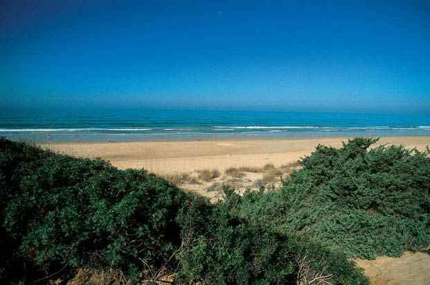 Playas de Chiclana Playas de Chiclana