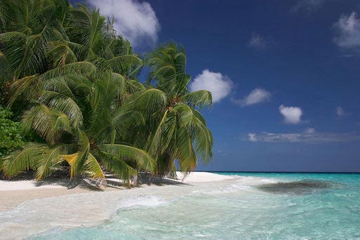 Hotel Riu Palace Punta Cana All Inclusive Punta Cana